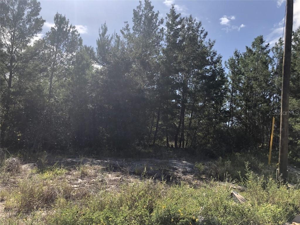 388 Daffodil Ln, Poinciana, FL 34759
