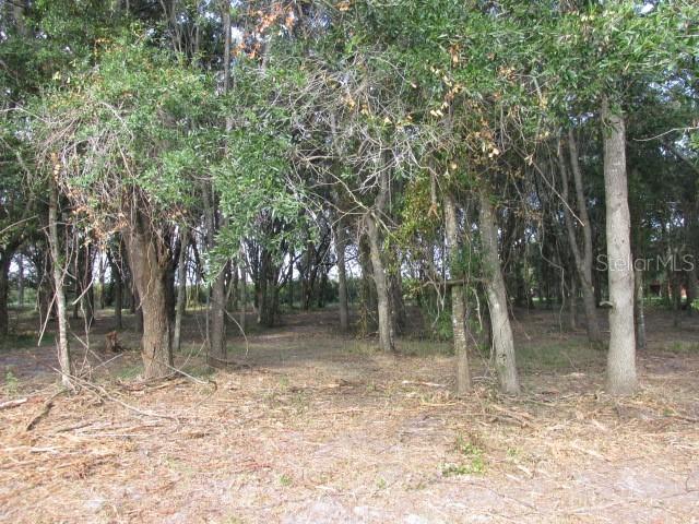 Nora Tyson Rd., Saint Cloud, FL 34771