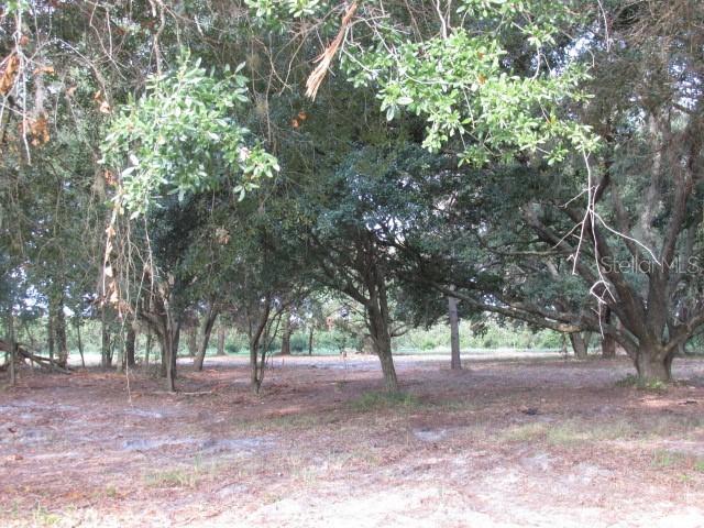 Nora Tyson Rd., Saint Cloud, FL 34771