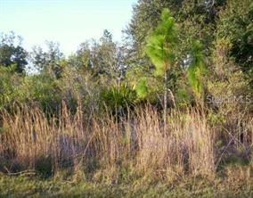 146 Sparrow Ct., Poinciana, FL 34759
