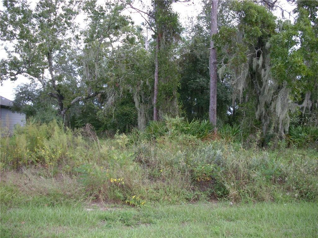 1921 Myakka Ct., Poinciana, FL 34759