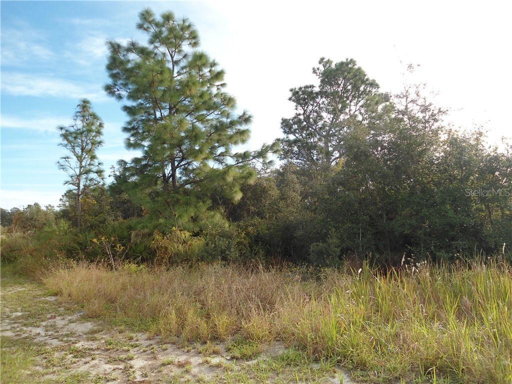 25 Willow Ln., Poinciana, FL 34759