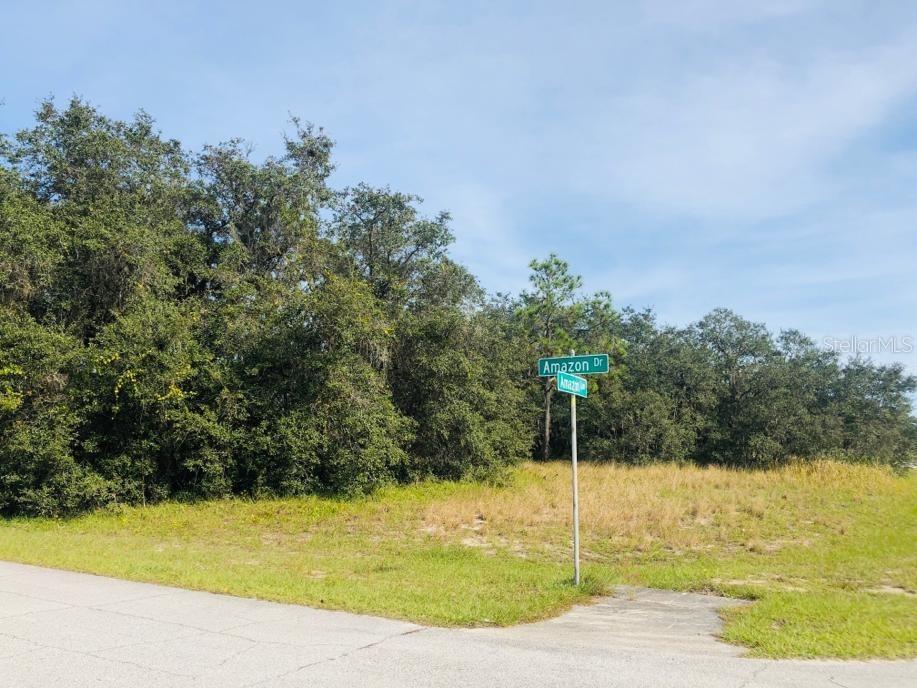 1225 Amazon Dr., Poinciana, FL 34759