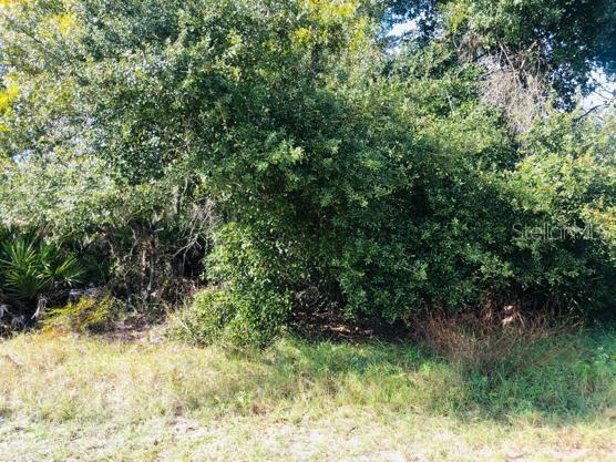 LOT 7 Punta Gorda Dr., Poinciana, FL 34759