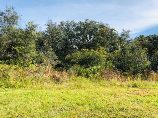 1220 Amazon Ln., Poinciana, FL 34759