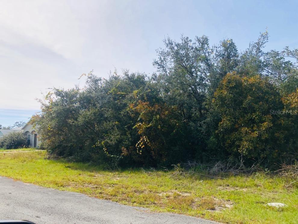1212 Amazon Ln., Poinciana, FL 34759