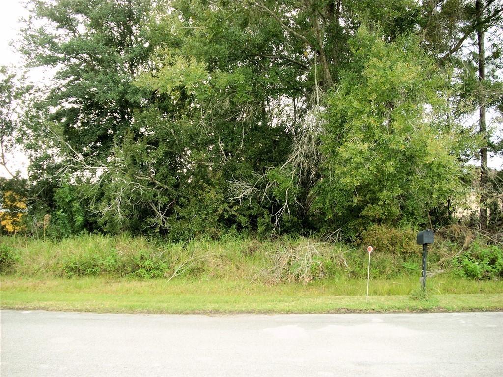 719 Palaiseau Ct., Kissimmee, FL 34759