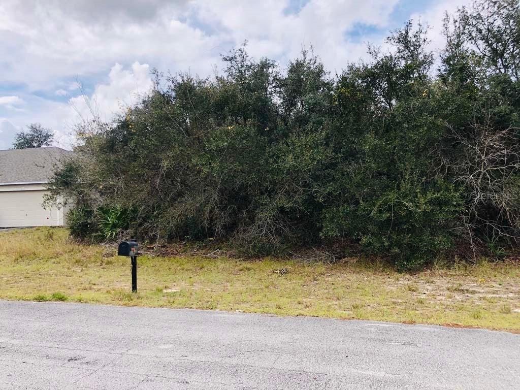 1206 Alafia Drive, Poinciana, FL 34759