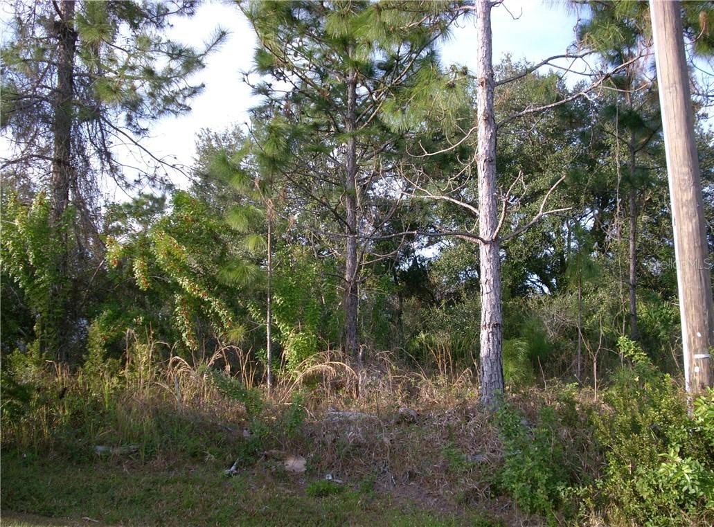 119 Aurora Ln., Kissimmee, FL 34758
