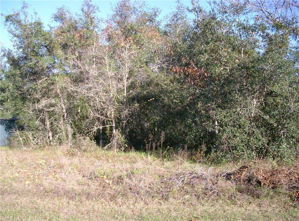 1415 Sarasota Dr., Poinciana, FL 34759