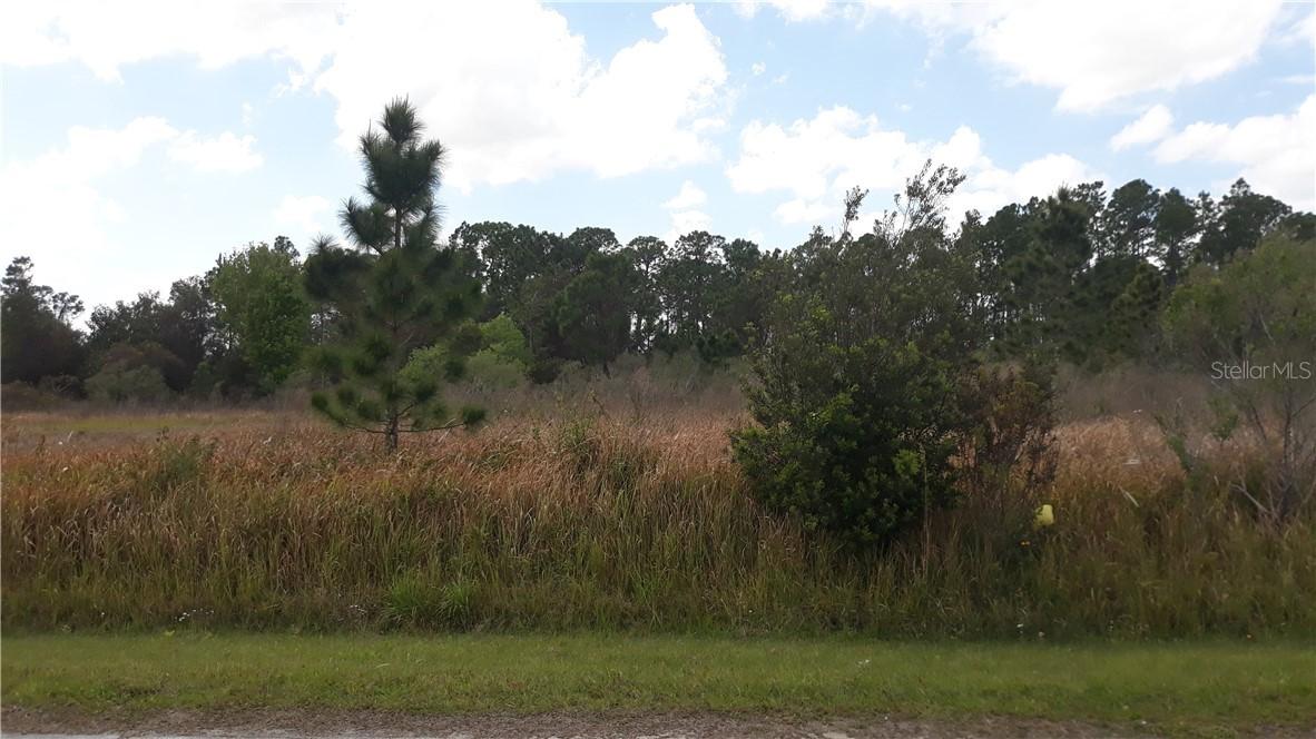 650 Hudson Valley Dr., Poinciana, FL 34759