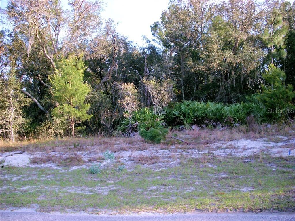 248 Begonia Pl., Poinciana, FL 34759