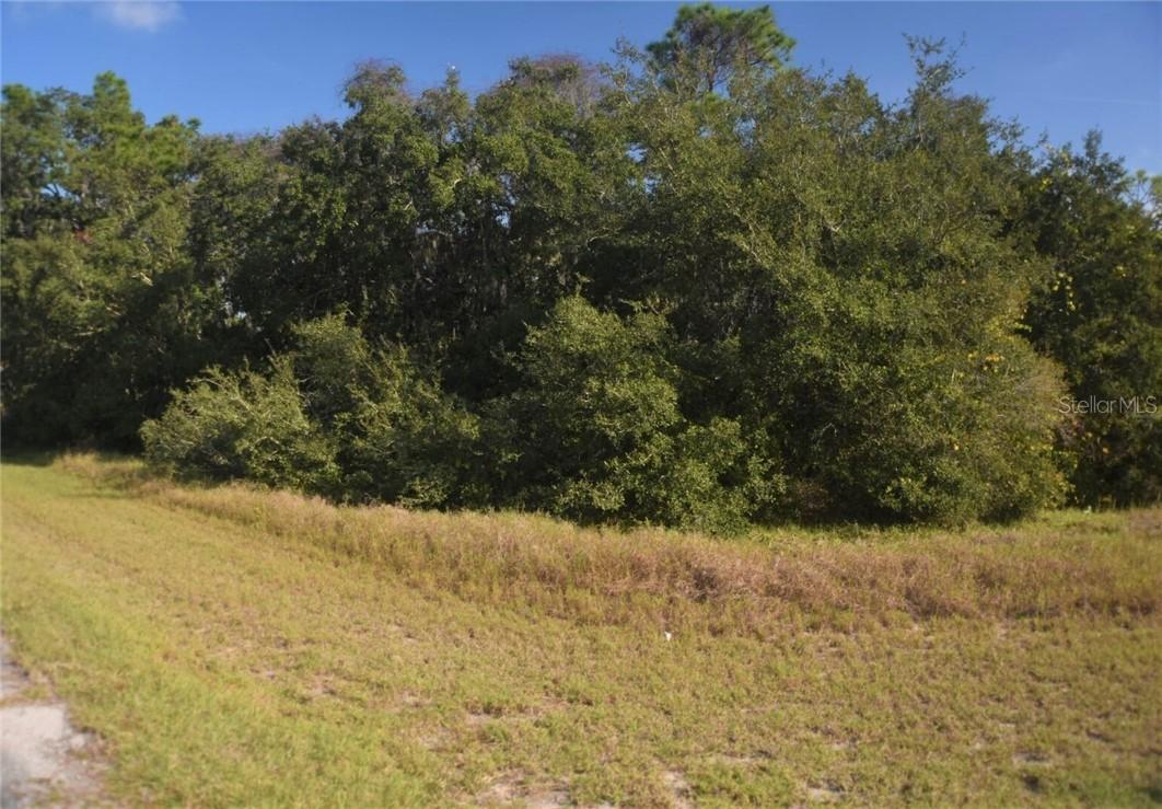 1332 Hillsborough Ct., Poinciana, FL 34759