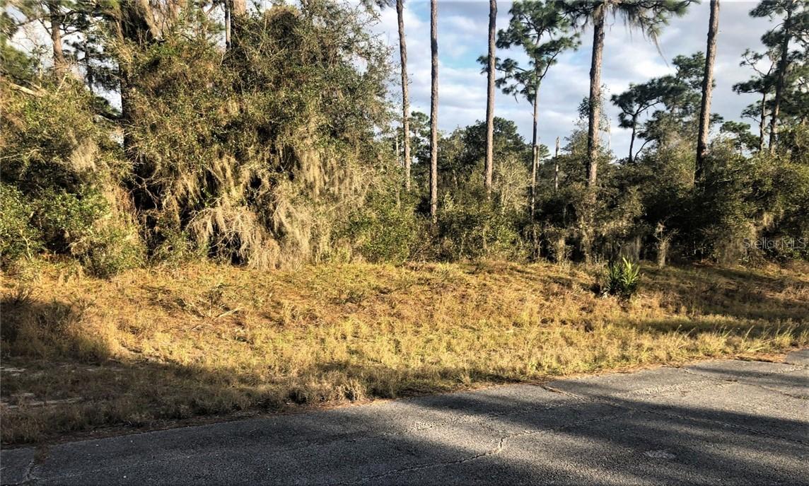 1314 Homosassa Ct., Poinciana, FL 34759