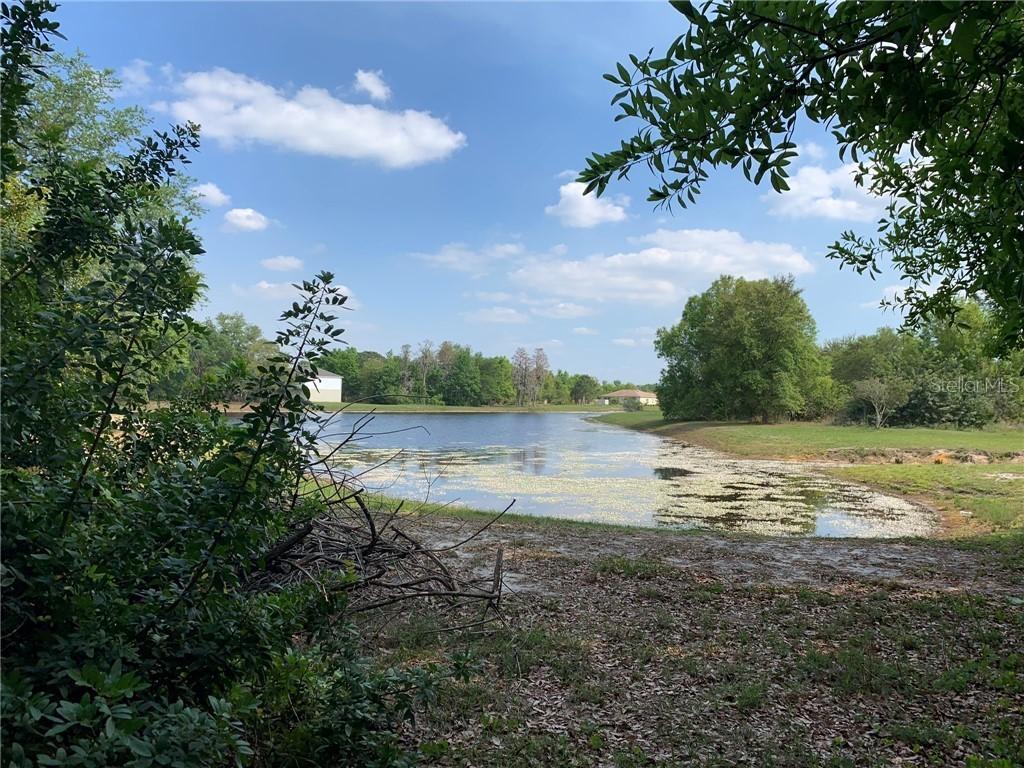 Alsace Dr., Kissimmee, FL 34759