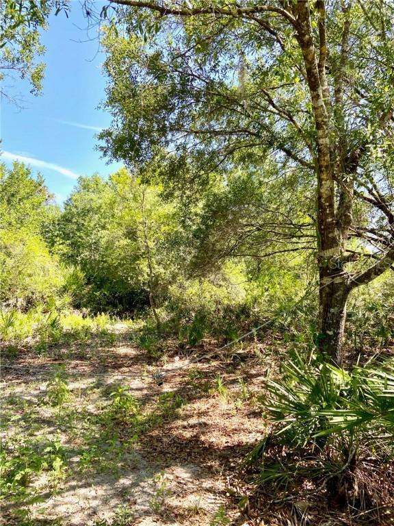 Pine Tree Dr., Saint Cloud, FL 34772