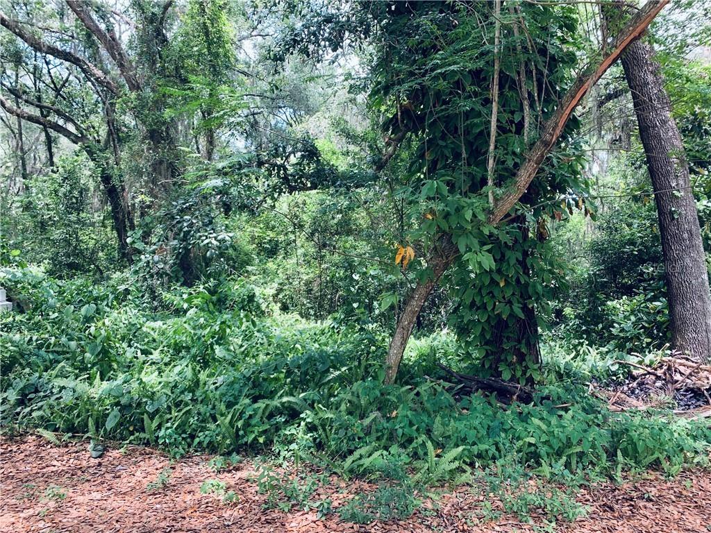 Avalona Dr., Sanford, FL 32773