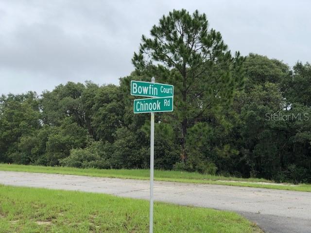 Bowfin Court, Kissimmee, FL 34759