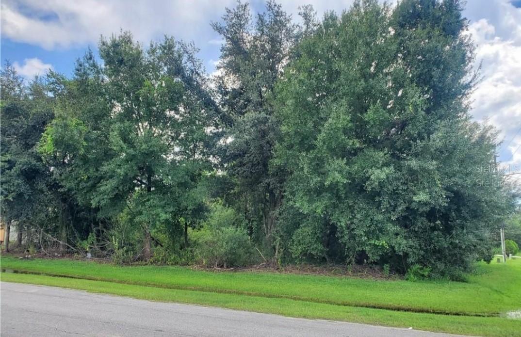 Palaiseau Ct., Kissimmee, FL 34759