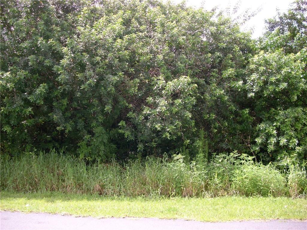 1006 Morvan Ln., Kissimmee, FL 34759