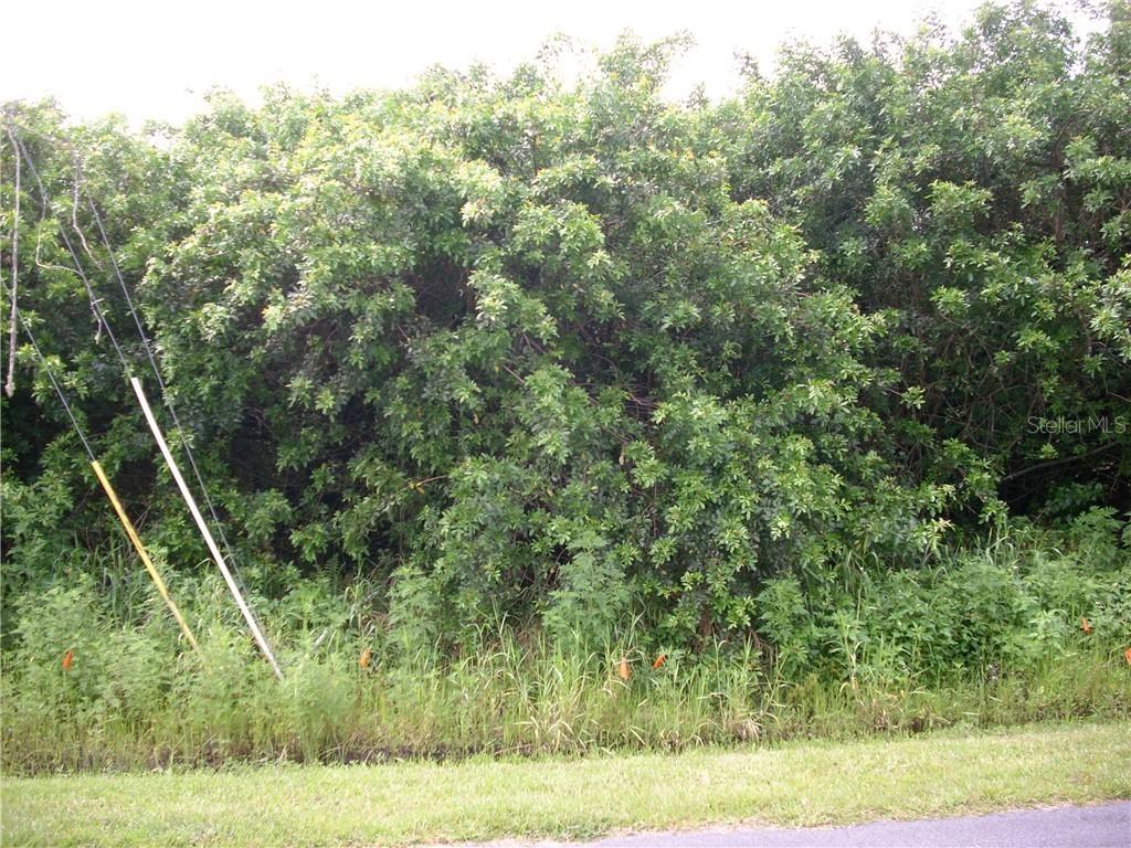 1010 Morvan Ln., Kissimmee, FL 34759