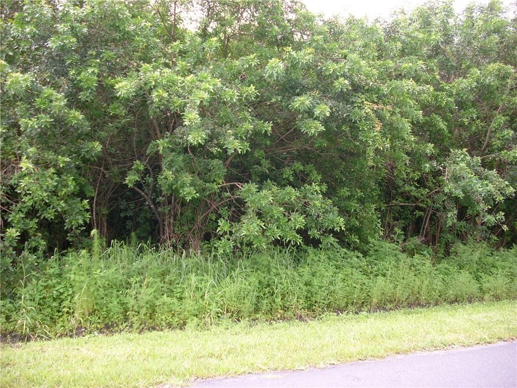 1008 Morvan Ln., Kissimmee, FL 34759