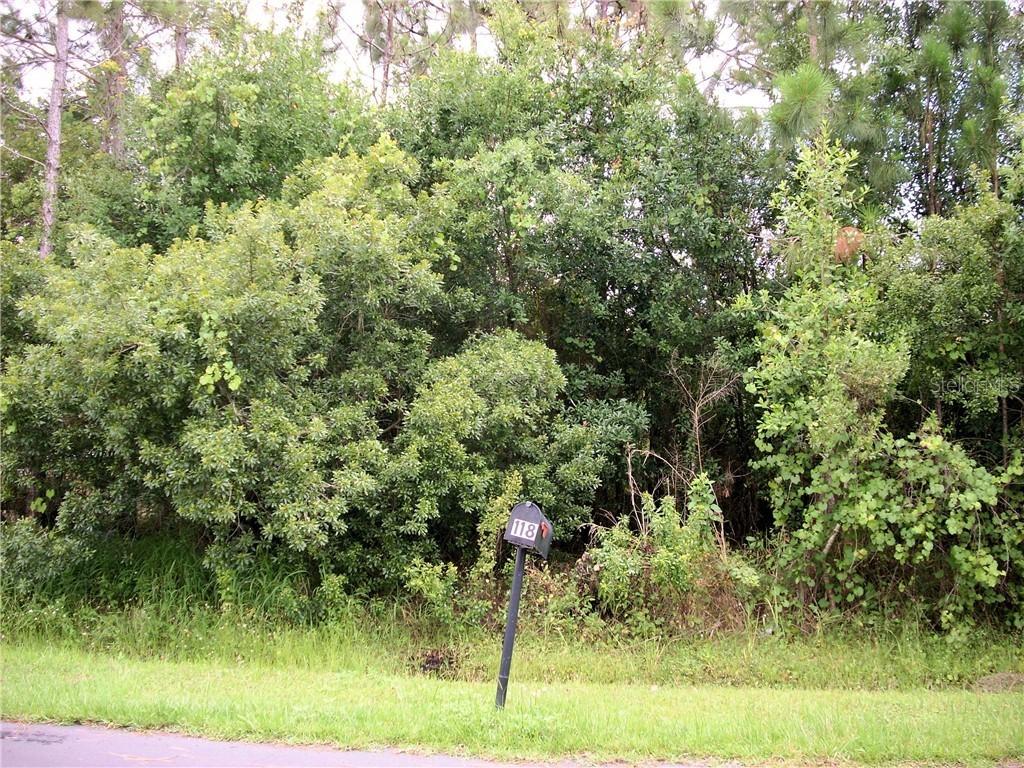 117 Briarcliff Dr., Kissimmee, FL 34758