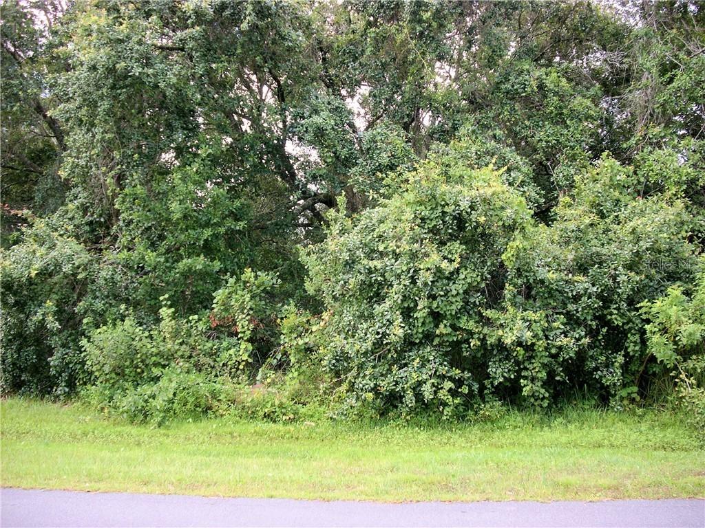 1002 Pantheon Dr., Kissimmee, FL 34759