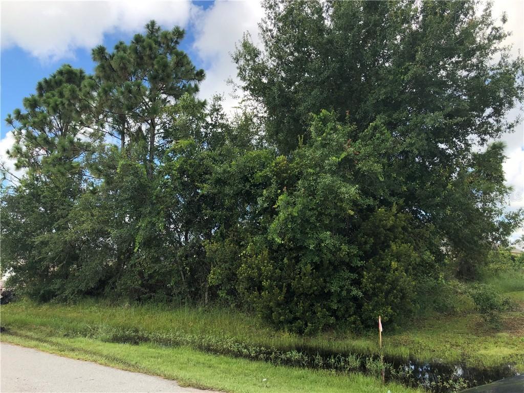 Platypus Ct., Poinciana, FL 34759