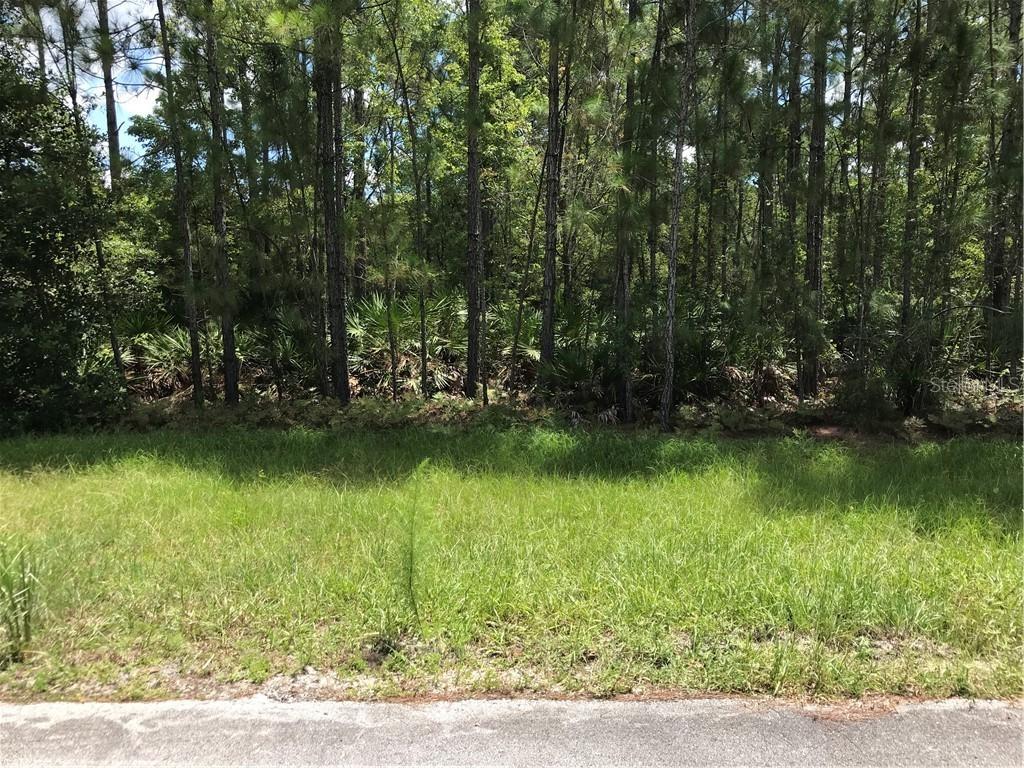 1712 Hidden Palms Dr., Davenport, FL 33897