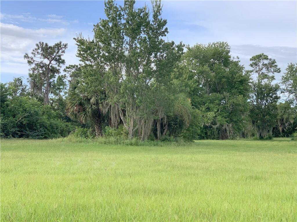 0000 Sylvester Dr., Saint Cloud, FL 34772