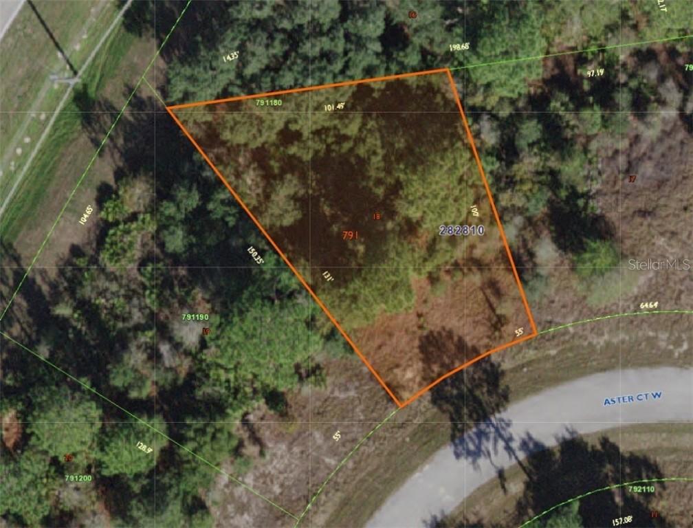 343 W Aster Ct., Poinciana, FL 34759