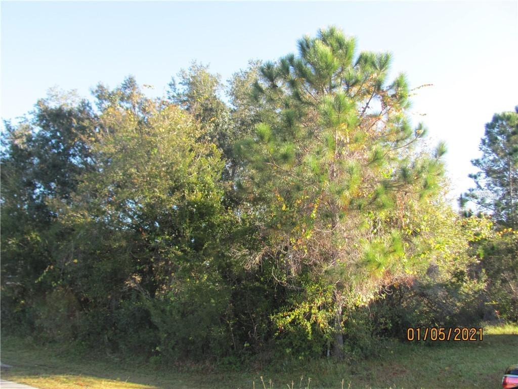 Versailles Ln., Kissimmee, FL 34759