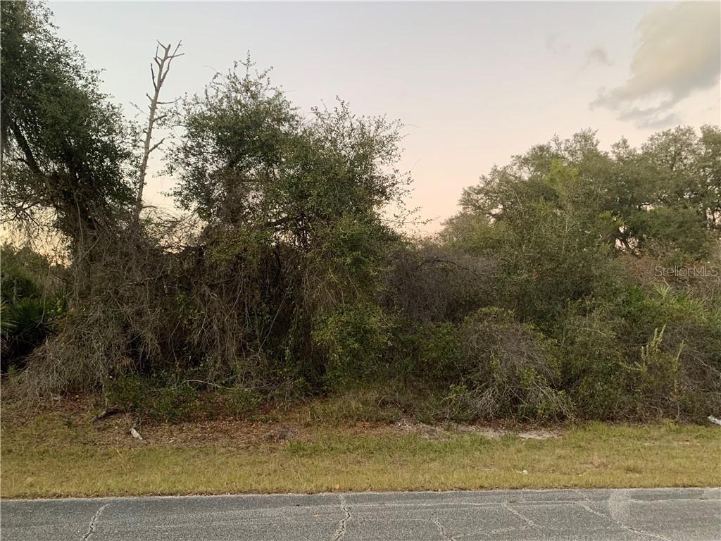 [Address Hidden by Seller], Poinciana, FL 34759