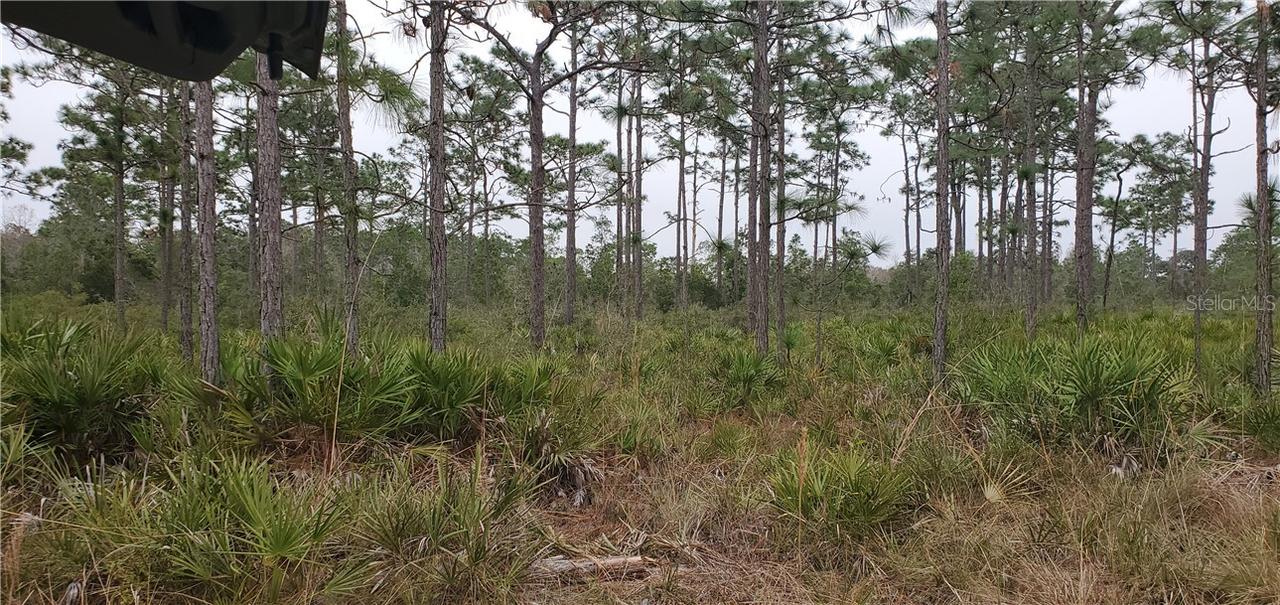 Krazy Ct., Saint Cloud, FL 34773