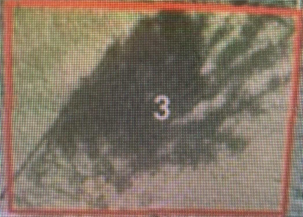 N Randolph Ave., Kissimmee, FL 34741