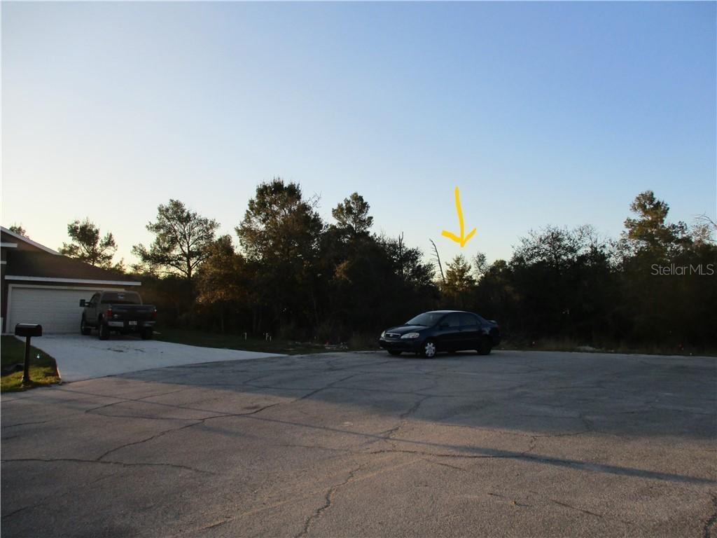 1204 Amazon Way, Kissimmee, FL 34759