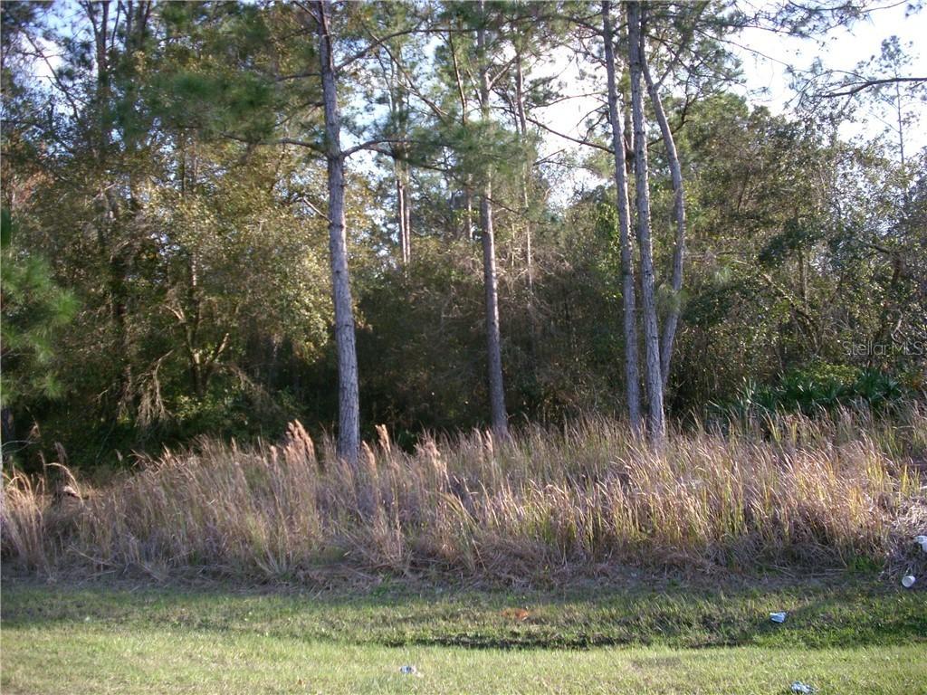 Perch Dr., Poinciana, FL 34759