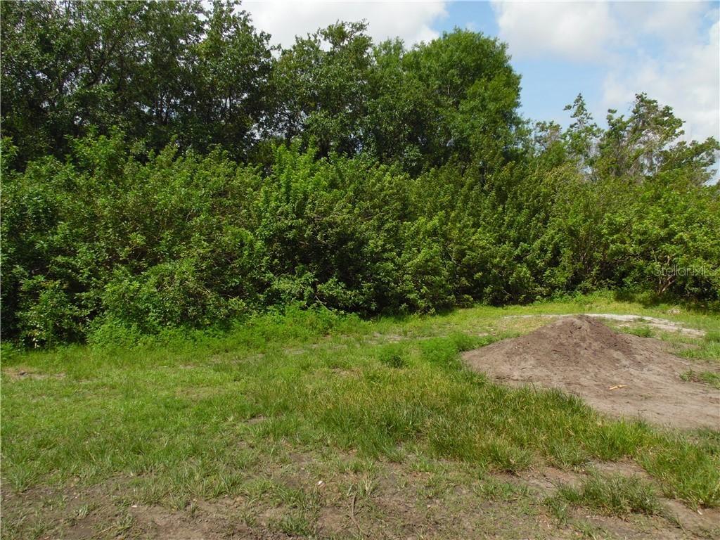 S South Kaliga Dr., St. Cloud, FL 34771