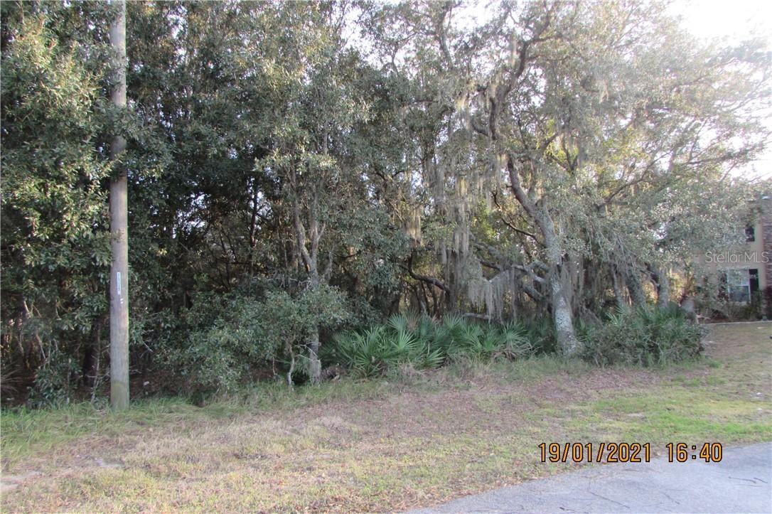 312 Dogfish Way, Poinciana, FL 34759