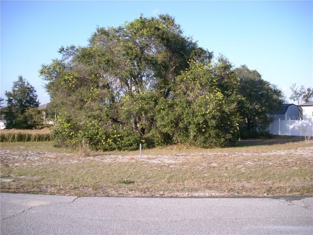 204 Big Black Dr., Poinciana, FL 34759