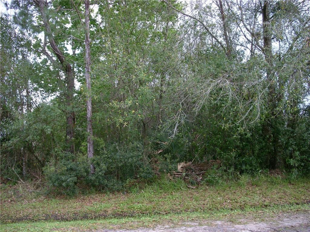 761 Parrot Ct., Poinciana, FL 34759