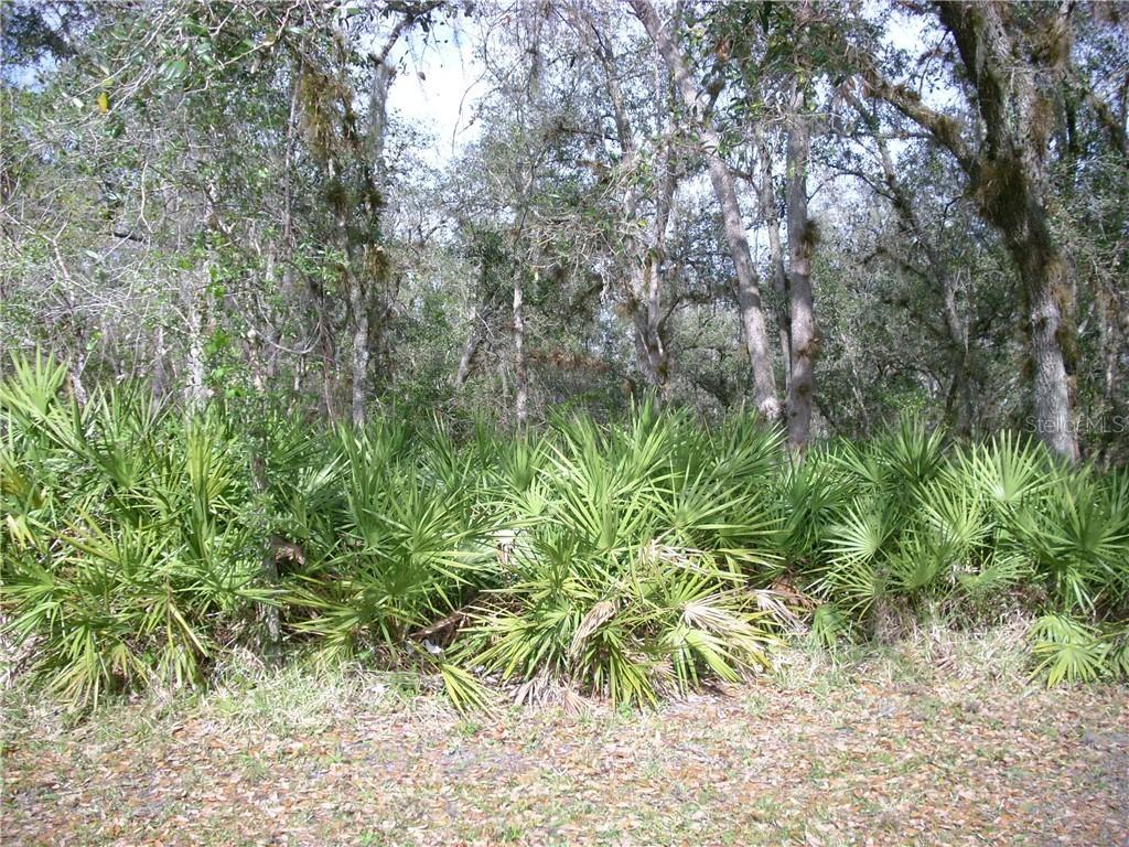 514 Glade Ct., Kissimmee, FL 34758