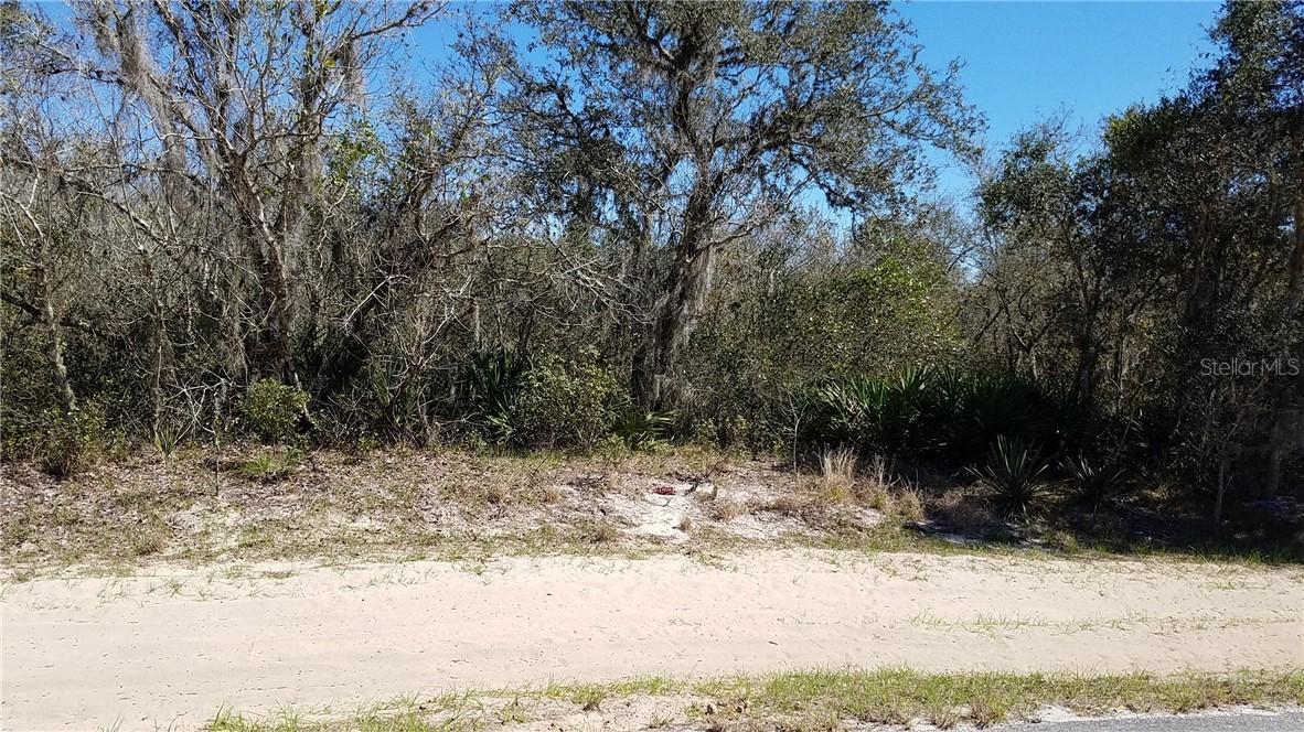 1247 Baltic Dr., Poinciana, FL 34759