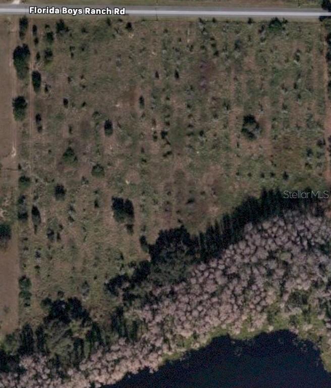 ` Florida Boys Ranch Rd., Groveland, FL 34736