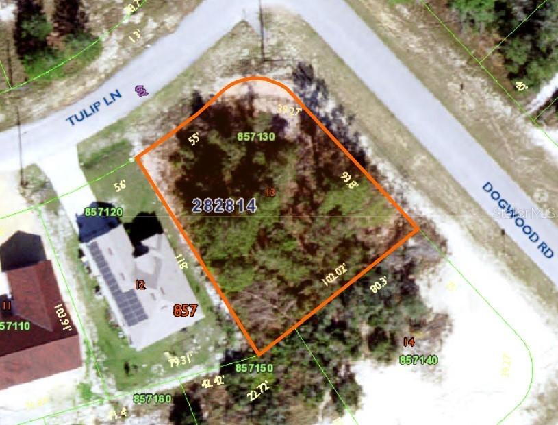 100 Tulip Ln., Poinciana, FL 34759