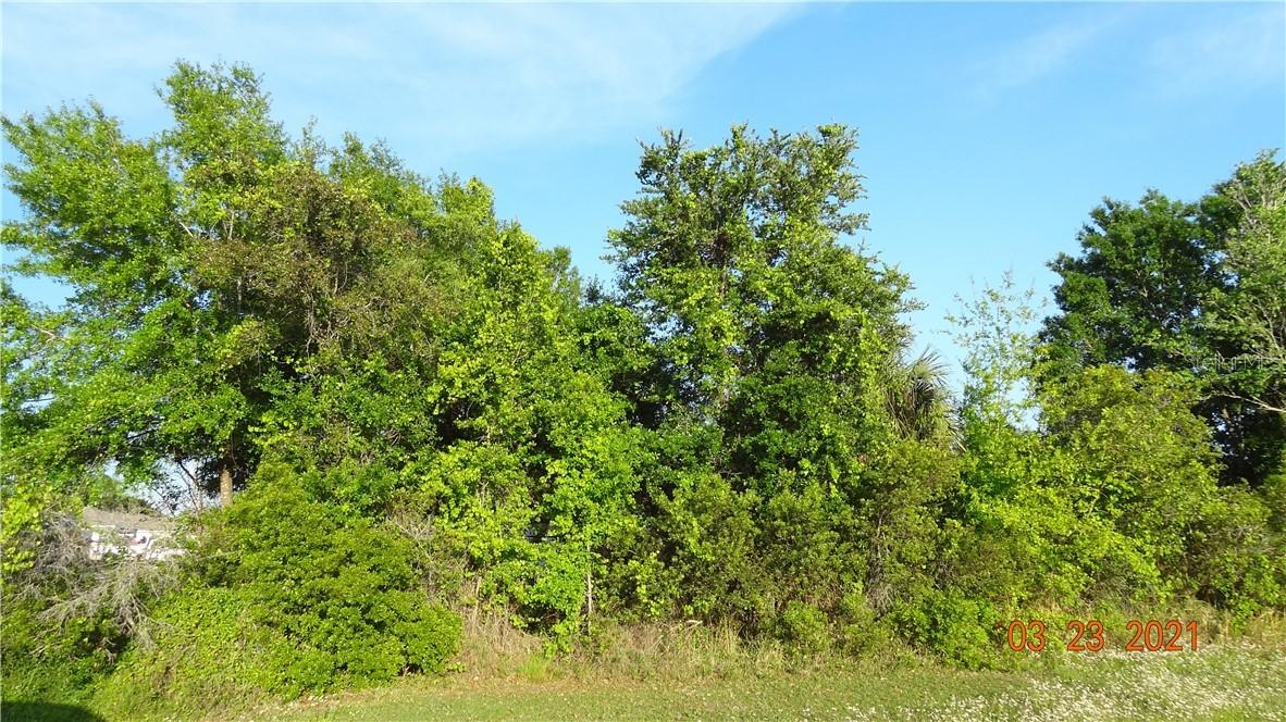 Whitehall Way, Kissimmee, FL 34758