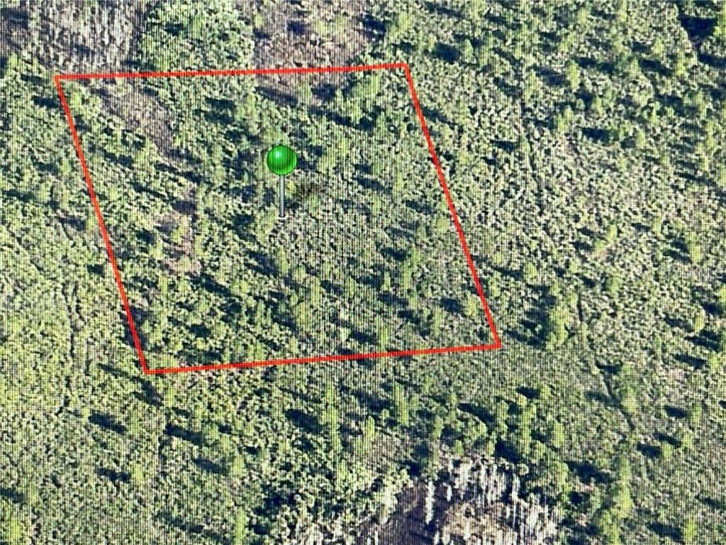 No Name - Parcel Id:47-18-34-02-12-0130, Oak Hill, FL 32759