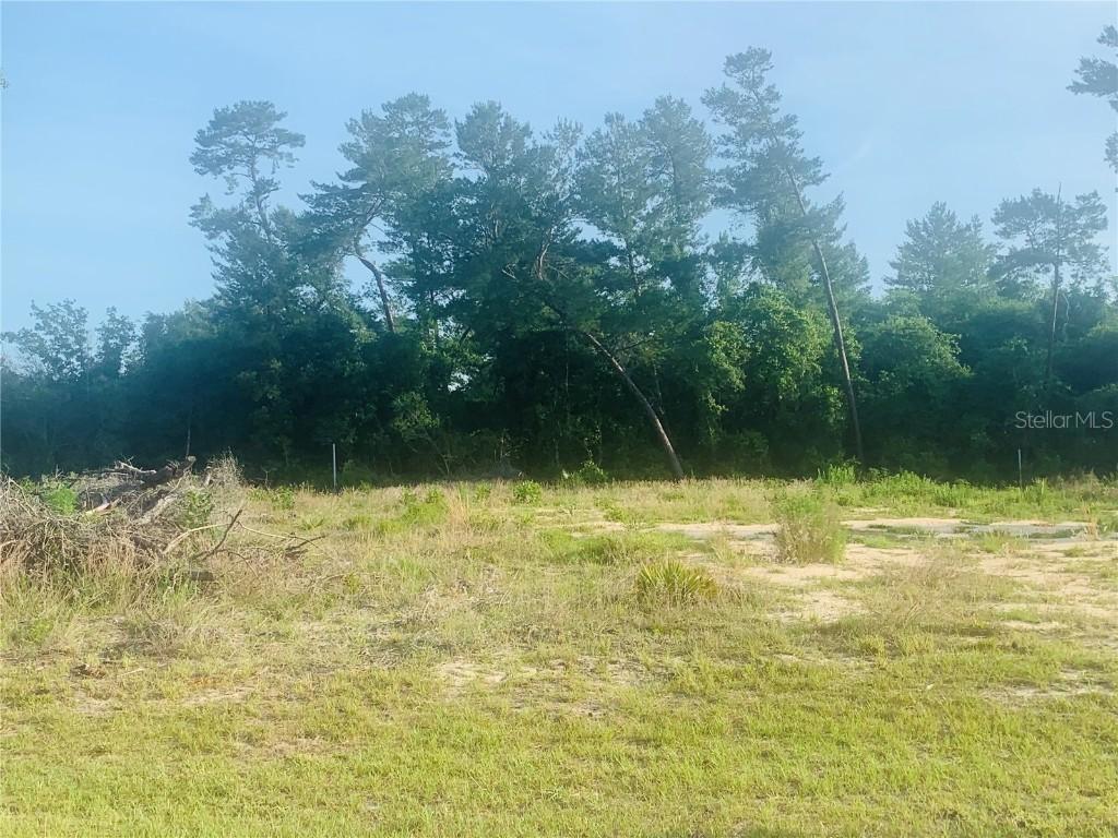 131 Place, Ocala, FL 34473