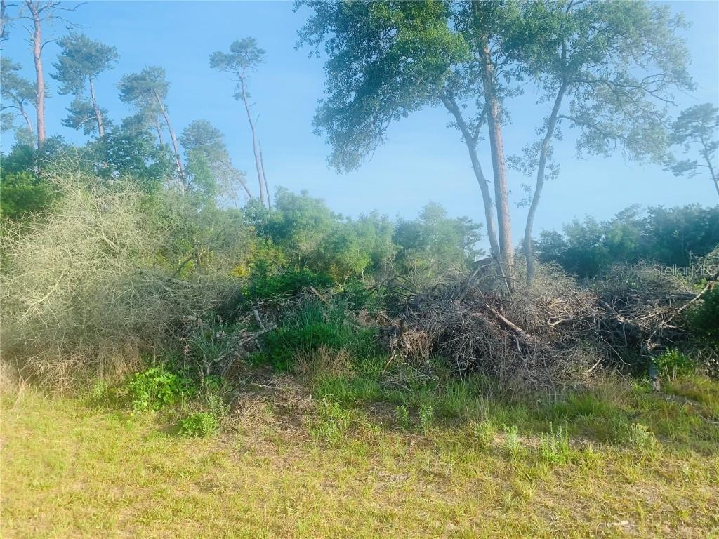 131 Place, Ocala, FL 34473